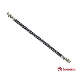 CREVO ZADNJE M10x1x250 - C8,EVASION,JUMPY/FIAT SCUDO